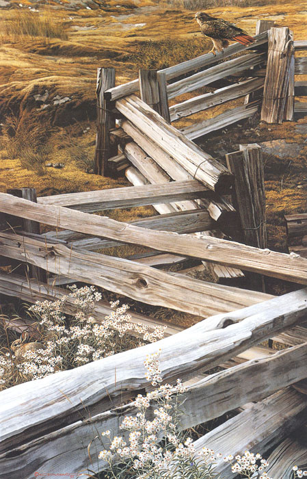 Reproductions of Carl Brenders paintings Balance of Nature Reproductions of Carl Brenders paintings Balance of Nature
